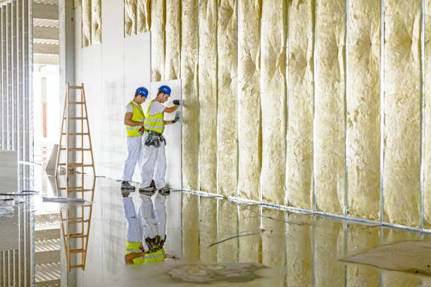 Best Geographic-Specific Insulation Services in Manti, UT